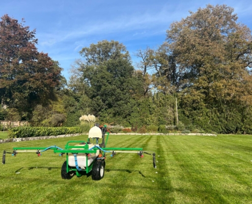 Timely application gives the best lawn service results