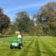 Timely application gives the best lawn service results