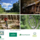 Green tech sponsors CLA ‘Beyond the Bark and Timber’ Conference