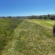 Abersoch weathers coastal challenges with Johnsons J Sustain Fairway