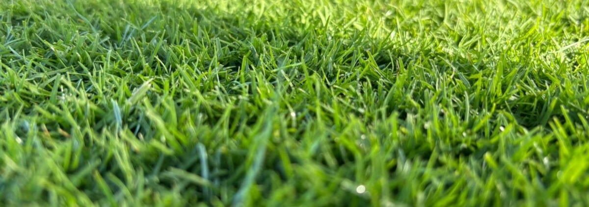 SIS Pitches Unveils Bio-X™