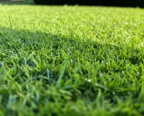 SIS Pitches Unveils Bio-X™