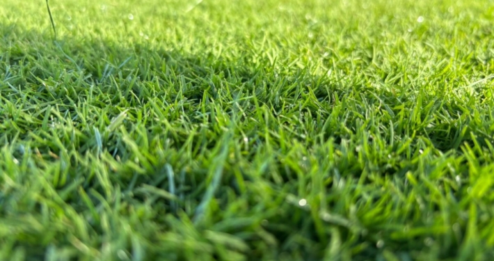 SIS Pitches Unveils Bio-X™
