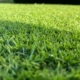 SIS Pitches Unveils Bio-X™