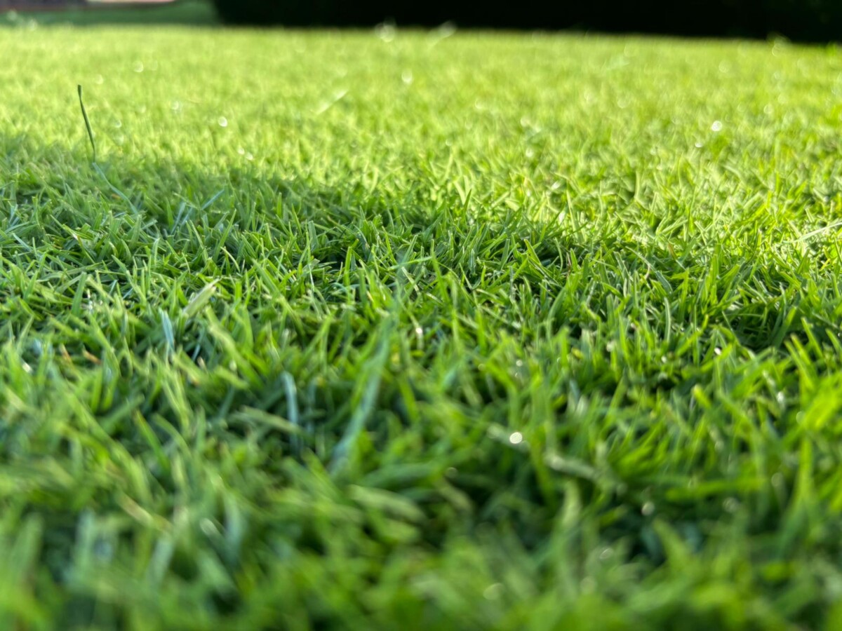 SIS Pitches Unveils Bio-X™