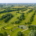 Agrovista Amenity Plays Key Role in Cold Ashby’s Transformation