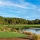 Florida Golf Club's Quest in Syngenta Docuseries
