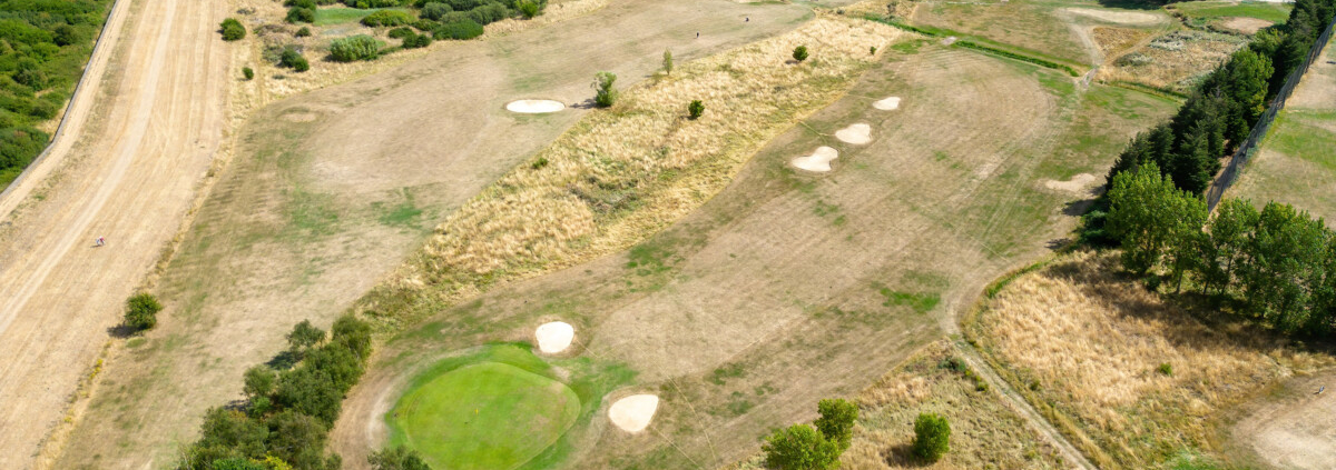 Integrating biostimulants to mitigate drought stress