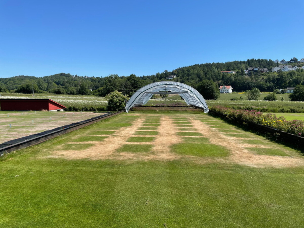 Independent FAIR WATER II Trial Highlights Fairway Drought Performance