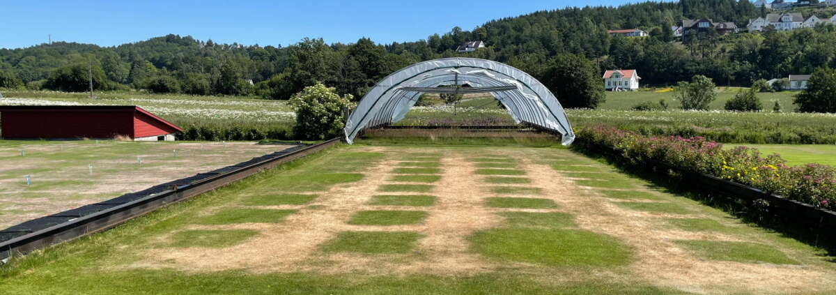 Independent FAIR WATER II Trial Highlights Fairway Drought Performance