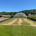 Independent FAIR WATER II Trial Highlights Fairway Drought Performance