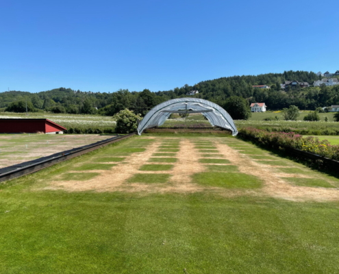 Independent FAIR WATER II Trial Highlights Fairway Drought Performance