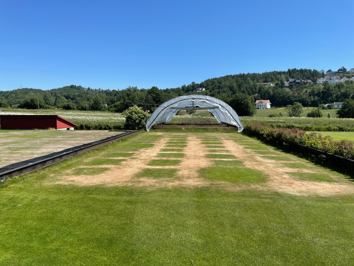 Independent FAIR WATER II Trial Highlights Fairway Drought Performance