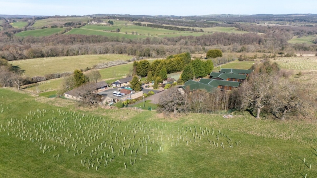 Microsite proves planting pedigree