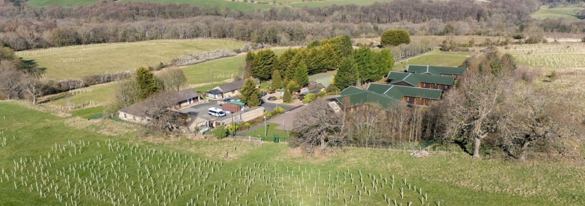 Microsite proves planting pedigree