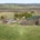 Microsite proves planting pedigree