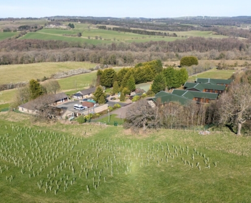 Microsite proves planting pedigree