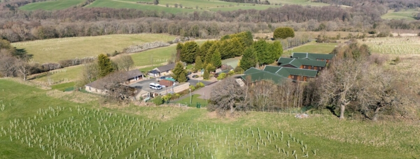 Microsite proves planting pedigree