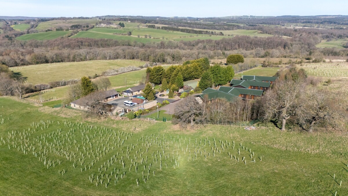 Microsite proves planting pedigree
