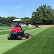 Baroness delivers over a decade of dependability at Reading FC
