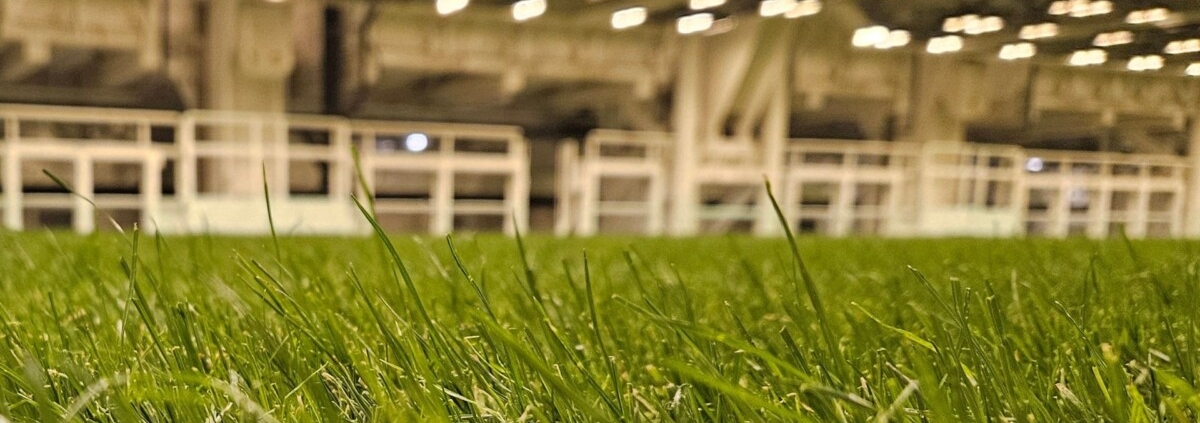 How technology is changing natural grass management in modern stadiums