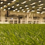 How technology is changing natural grass management in modern stadiums