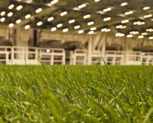 How technology is changing natural grass management in modern stadiums