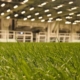 How technology is changing natural grass management in modern stadiums