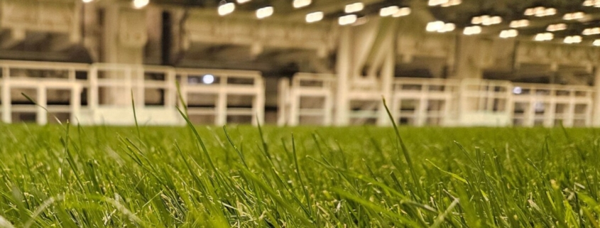 How technology is changing natural grass management in modern stadiums