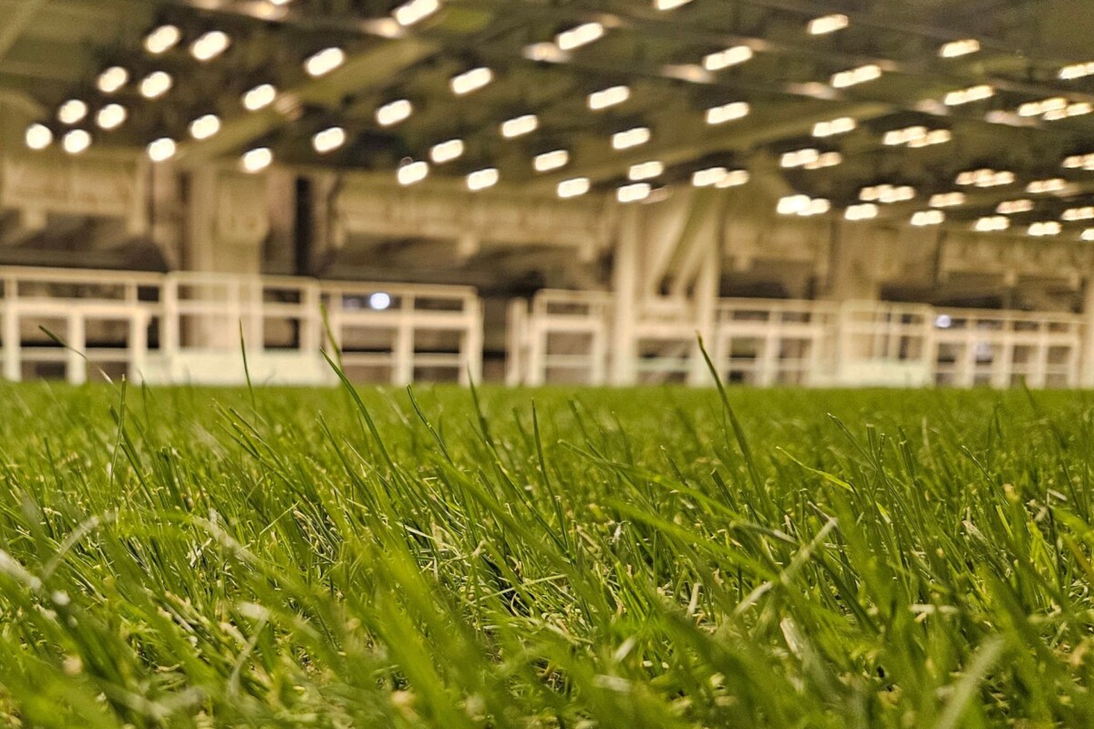 How technology is changing natural grass management in modern stadiums