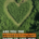 STIHL GB Launches Competition for Britain’s Biggest Fan
