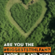STIHL GB Launches Competition for Britain’s Biggest Fan