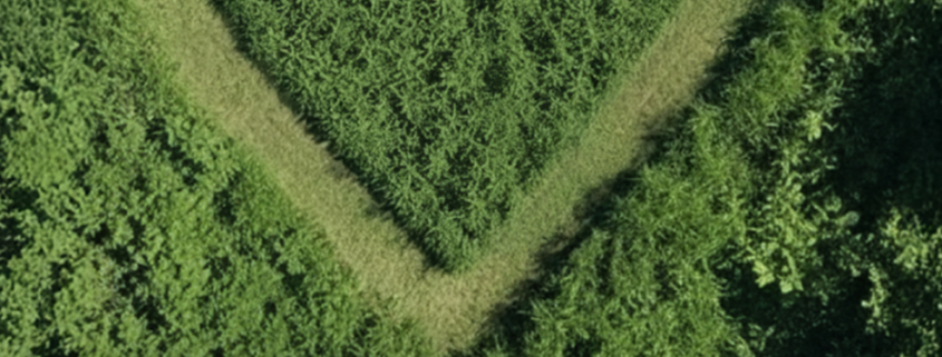STIHL GB Launches Competition for Britain’s Biggest Fan