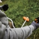 STIHL launches powerful brushcutters for demanding landscaping operations