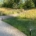 Waterscapes guidance on when smart irrigation upgrades pay for themselves