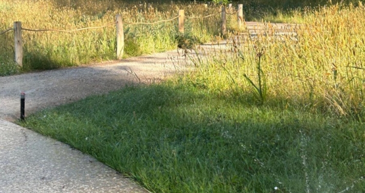 Waterscapes guidance on when smart irrigation upgrades pay for themselves