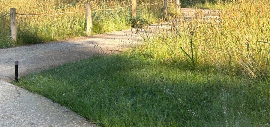 Waterscapes guidance on when smart irrigation upgrades pay for themselves