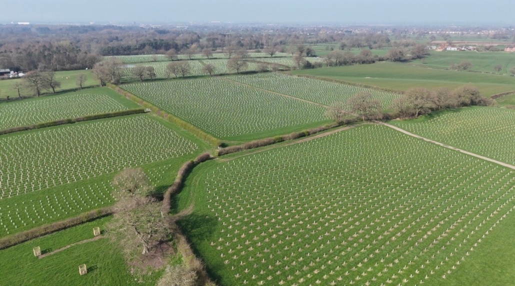 Green-Tech supports CLECO with woodland creation scheme Green-Tech supports CLECO with woodland creation scheme