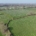 Green-Tech supports CLECO with woodland creation scheme