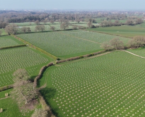 Green-Tech supports CLECO with woodland creation scheme