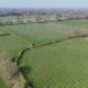 Green-Tech supports CLECO with woodland creation scheme