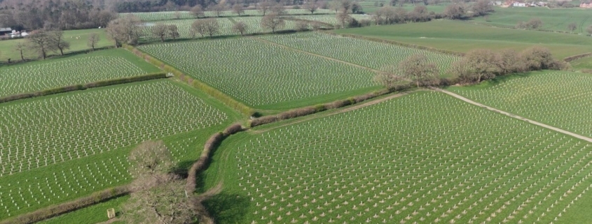Green-Tech supports CLECO with woodland creation scheme