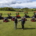 Share of Fife Golf Trust tender goes to Toro
