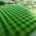 Tottenham Hotspur’s holistic approach to pitch renovations
