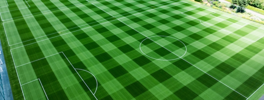 Tottenham Hotspur’s holistic approach to pitch renovations