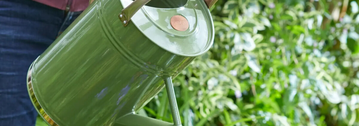 RHS and water partners join forces to help reduce outdoor water use