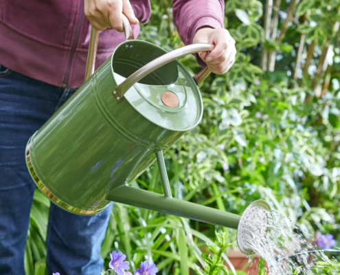 RHS and water partners join forces to help reduce outdoor water use