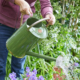 RHS and water partners join forces to help reduce outdoor water use