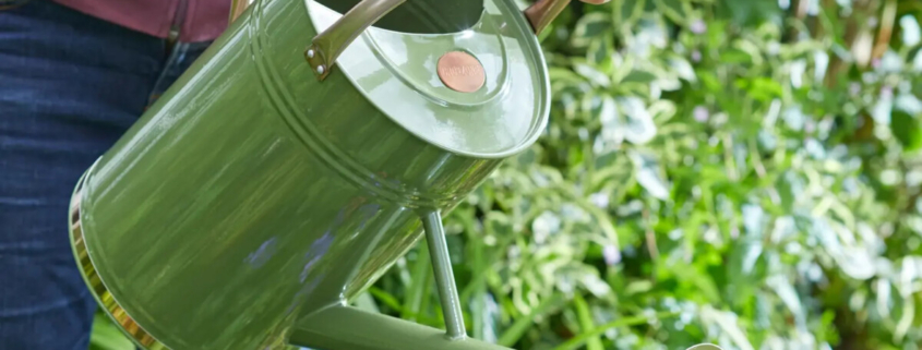 RHS and water partners join forces to help reduce outdoor water use