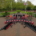 Krinkels powers Westminster parks with Kress fleet
